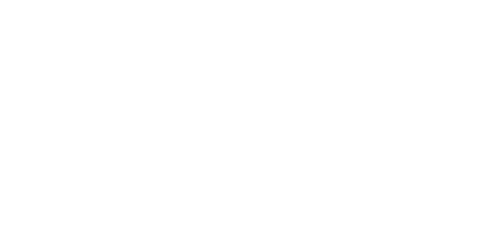 Logo Zoom