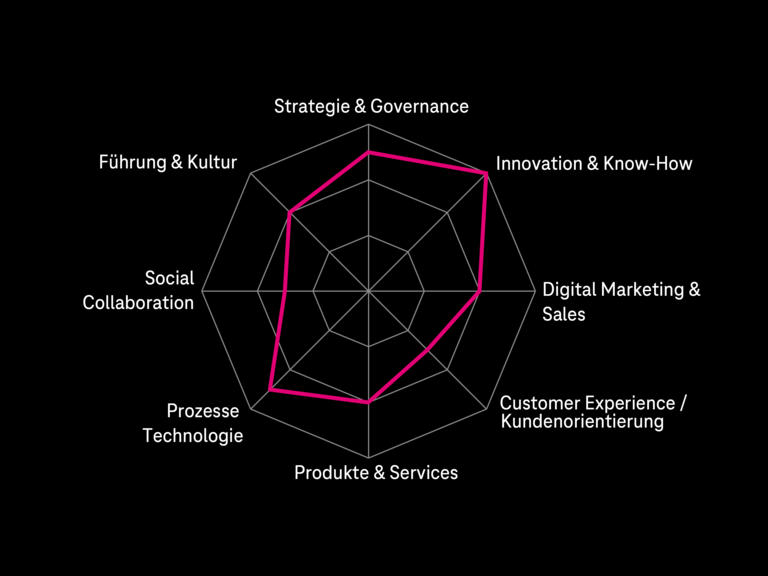 Spinnenetz-Methodik mit einem Auszug der Dimensionen im Rahmen des Digital Maturity Assessment
