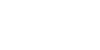 Tricentis Gold Partner Tricentis Gold Partner